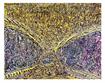 Glasses Multidimensional Art by  Daniel Pavon Cuellar Art Dapacu Masterpieces